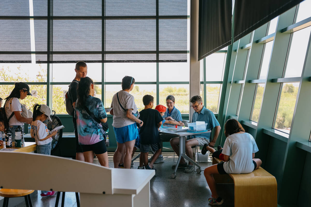 Families line up to play educational games with staff during Discovery Day on Saturday, June 28 ...
