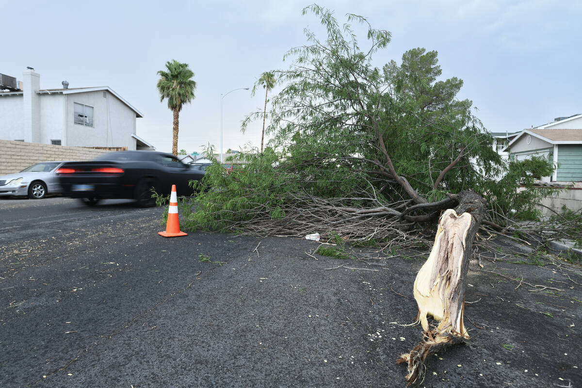 A downed tree limb from the previous day’s storm blocks Palora Avenue near Mojave road W ...