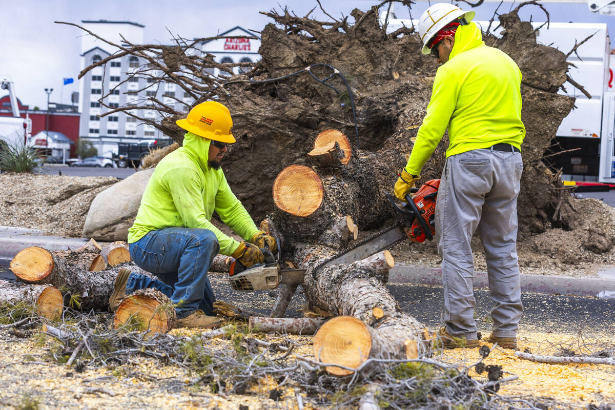 A crew from NLS Grounds Management works to clear a downed tree which also took out a power lin ...