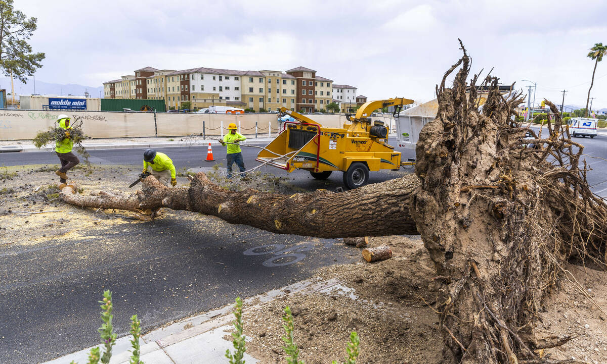 A crew from NLS Grounds Management works to clear a downed tree which also took out a power lin ...