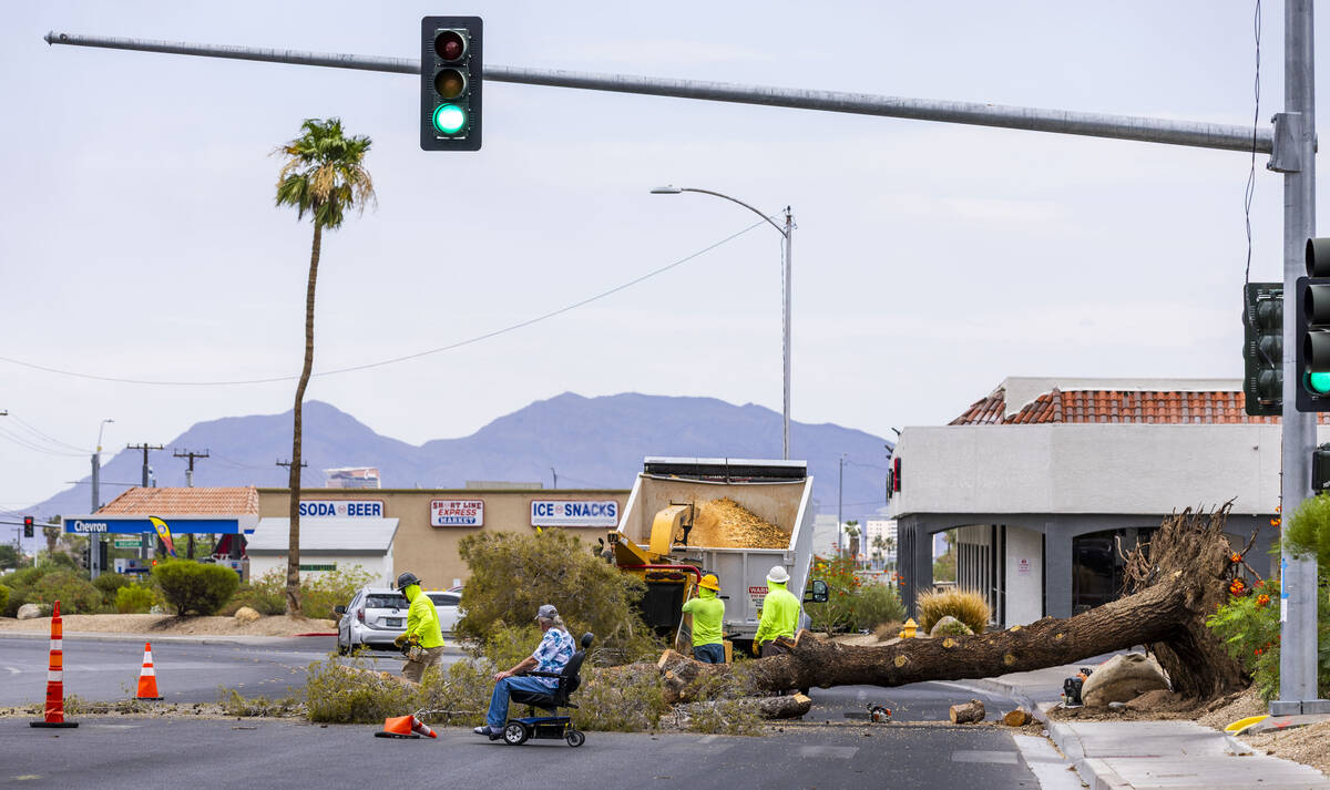 A crew from NLS Grounds Management works to clear a downed tree which also took out a power lin ...