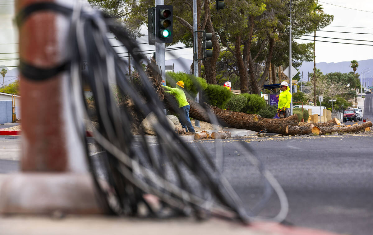 A crew from NLS Grounds Management works to clear a downed tree which also took out a power lin ...