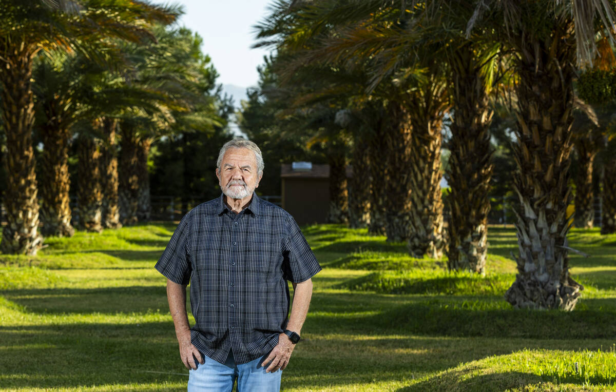Ahern Vice President Lloyd Benson stands amongst their grove of Medjool date trees as the next ...
