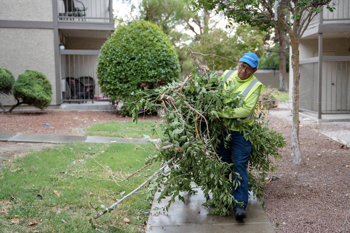 Daniel Castilo, 65, clears branches from a fallen tree that created a power outage at Holiday M ...