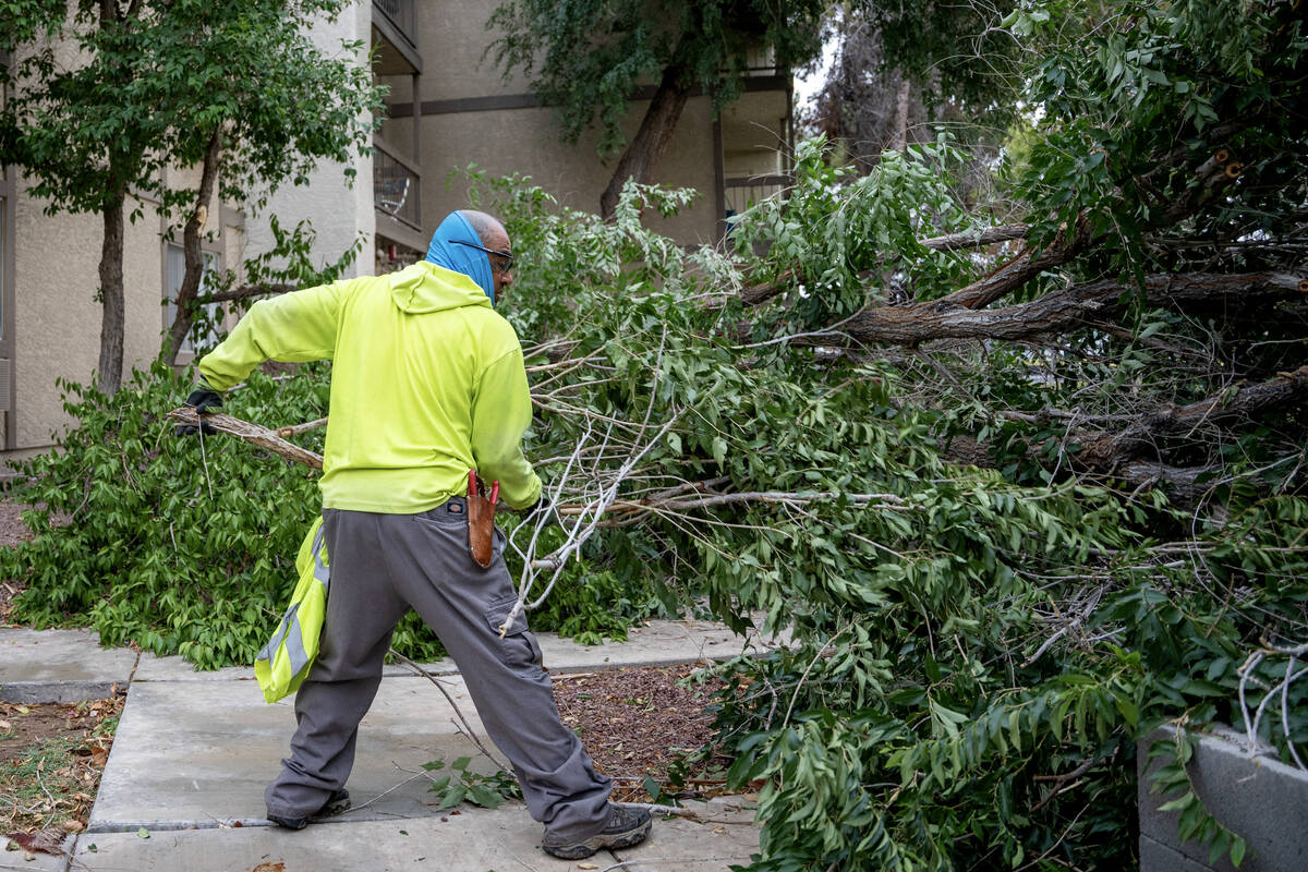 Johnny Galvan, clears branches from a fallen tree at Holiday Montara Meadows senior living apar ...