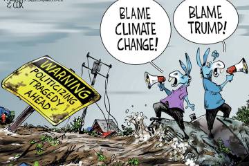 Margolis & Cox PoliticalCartoons.com