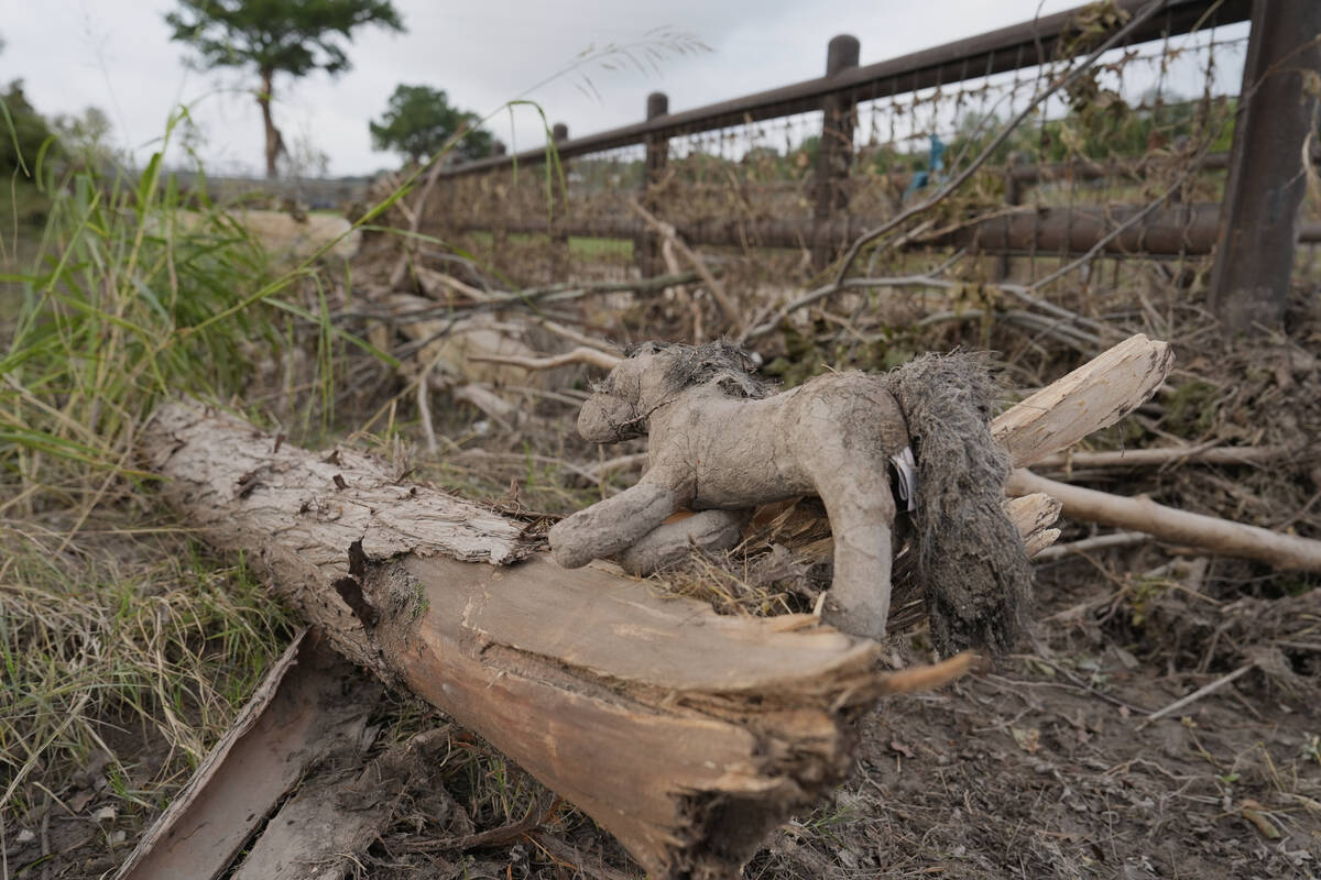 A toy horse lies by a fallen tree limbs and debris in Kerrville, Texas, Wednesday, July 9, 2025 ...