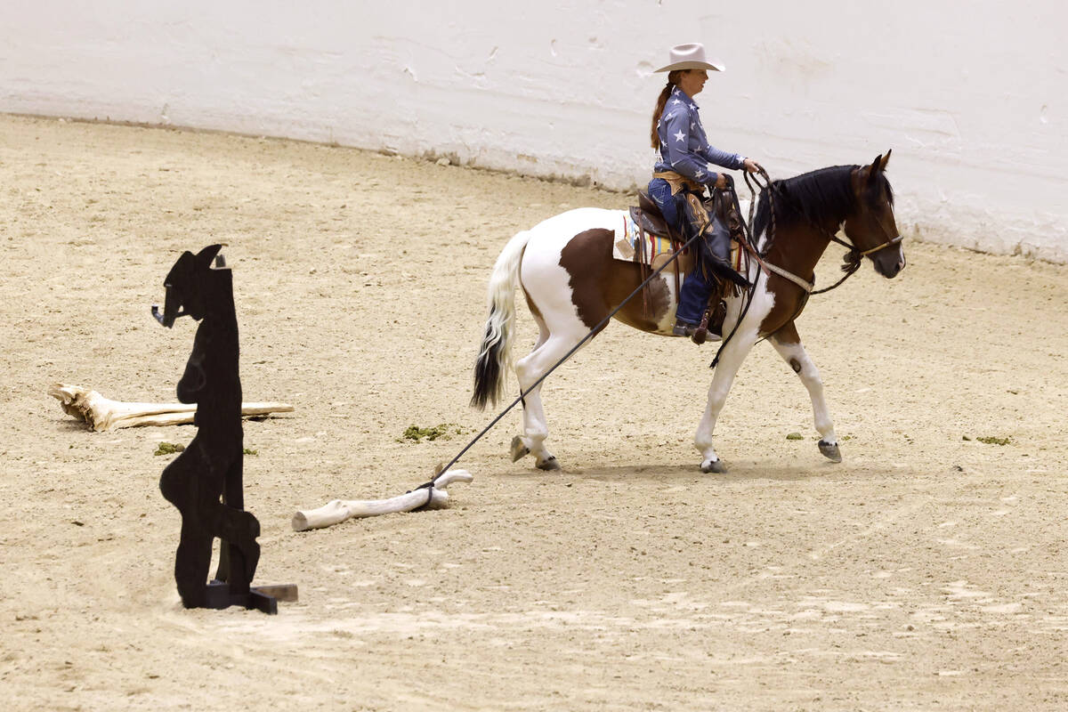 Heidi Brown of Las Vegas and her bay pinto mustang, Raya, compete in the Mustang Challenge at t ...