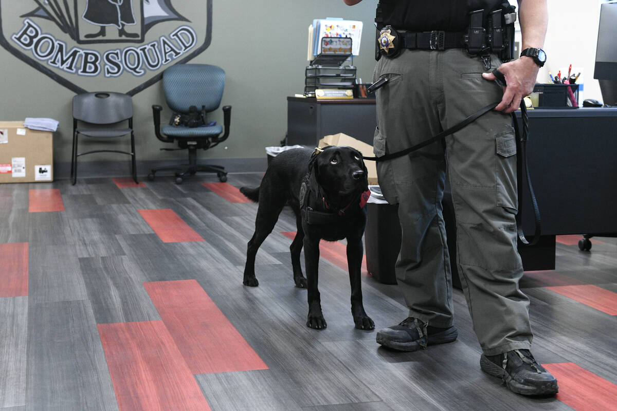 Las Vegas Fire and Rescue K9 Wilbur looks up at his handler Capt. Ernie Mendoza at the Las Vega ...