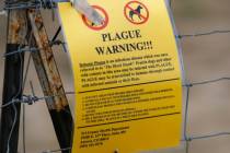 A sign warning of bubonic plague is displayed at a parking lot near the Rocky Mountain Arsenal ...
