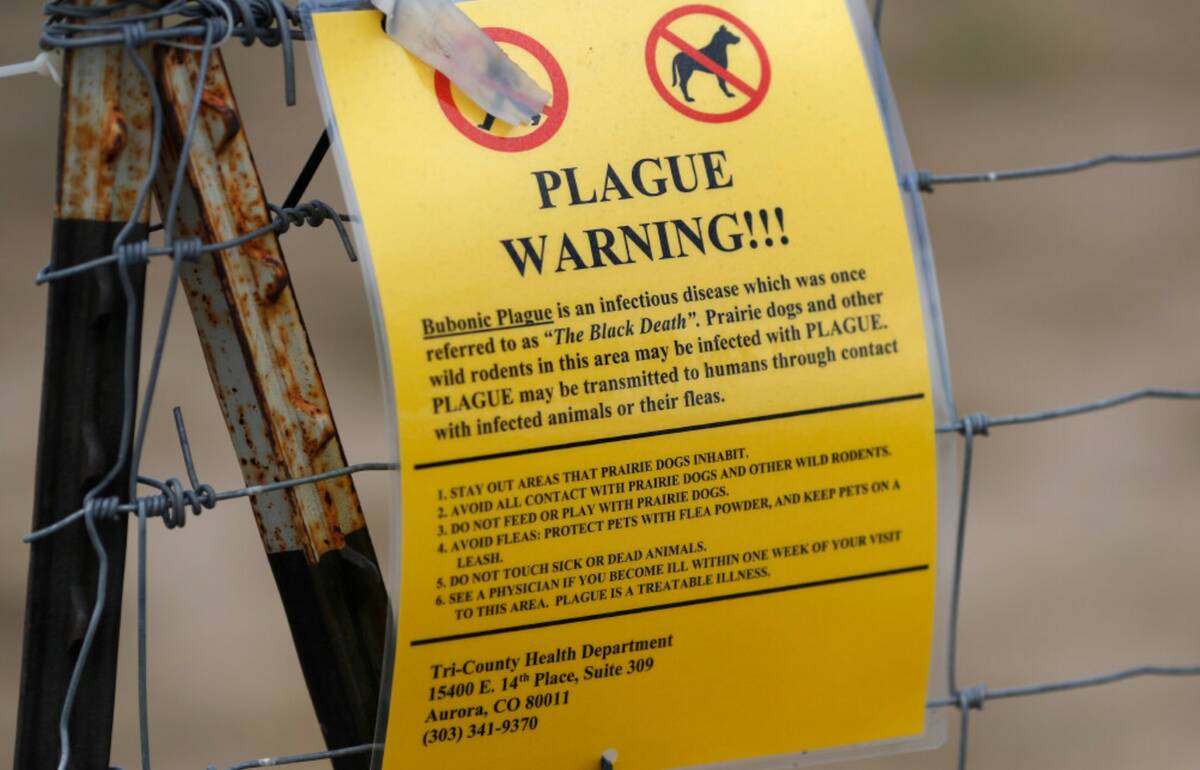 A sign warning of bubonic plague is displayed at a parking lot near the Rocky Mountain Arsenal ...