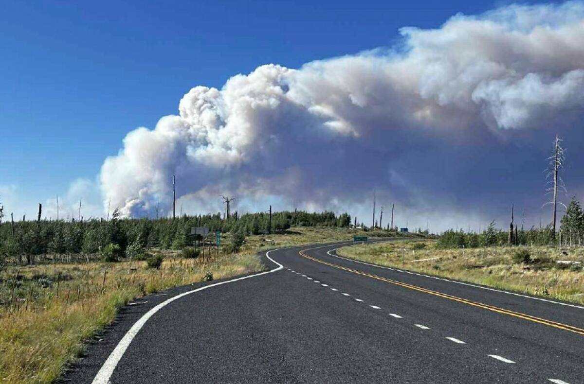 This photo shows wildfire smoke near the Grand Canyon's North Rim, in northern Arizona, on Thur ...