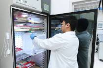 Student Truong Phan returns mosquitos to an environmental chamber Tuesday, July 15, 2025 at UNL ...