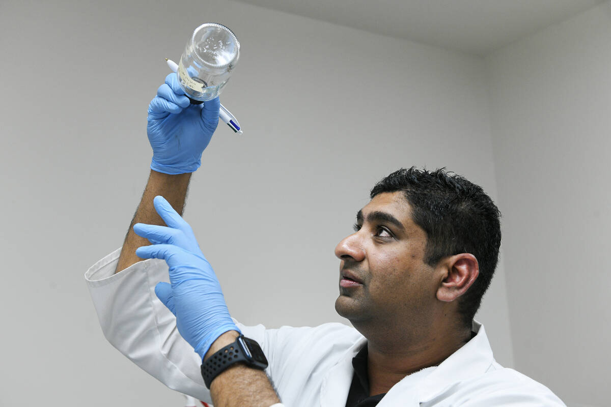 Trishan Wickramasinghe examines a jar with mosquitos during an experiment Tuesday, July 15, 202 ...