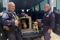 Nevada Task Force-1 members Mike Porter and Tim Lobes return to the camp after finishing their ...