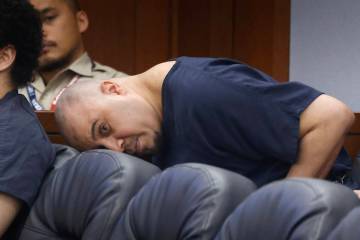 Robert Salone, who pleaded guilty in April to counts of murder and attempted murder for the 202 ...