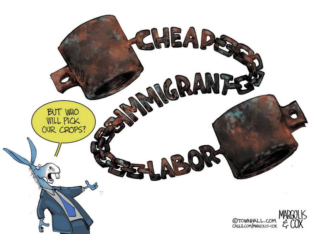 Margolis & Cox PoliticalCartoons.com
