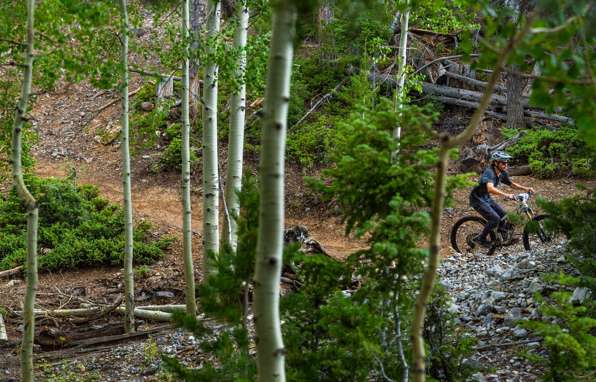 Men's elite rider Austin Wendel navigates a forested path during the Viva La Gravity at the Lee ...