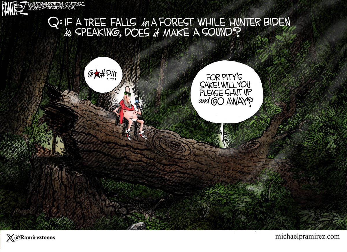 The Hunter Biden interview.