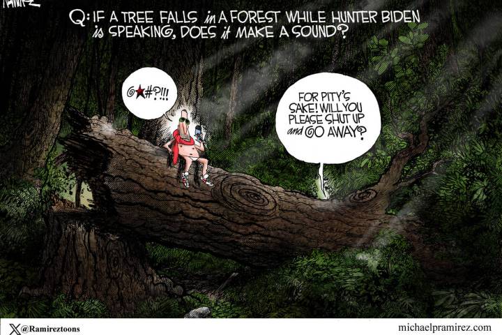 The Hunter Biden interview.