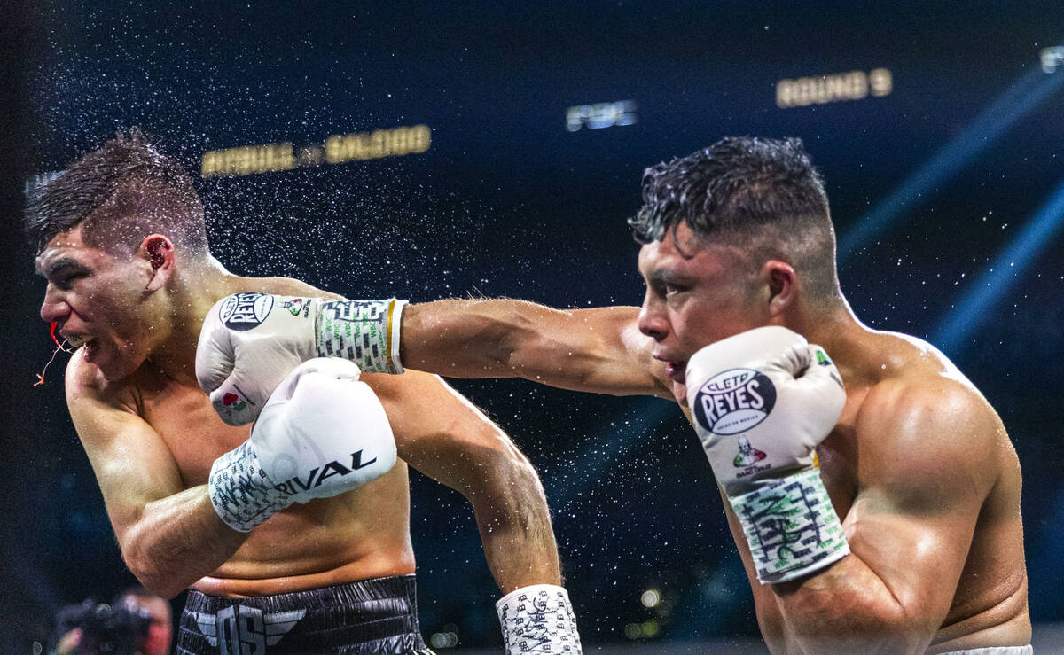 Omar Salcido takes a punch to the chin from Isaac Cruz and during their interim WBC super light ...