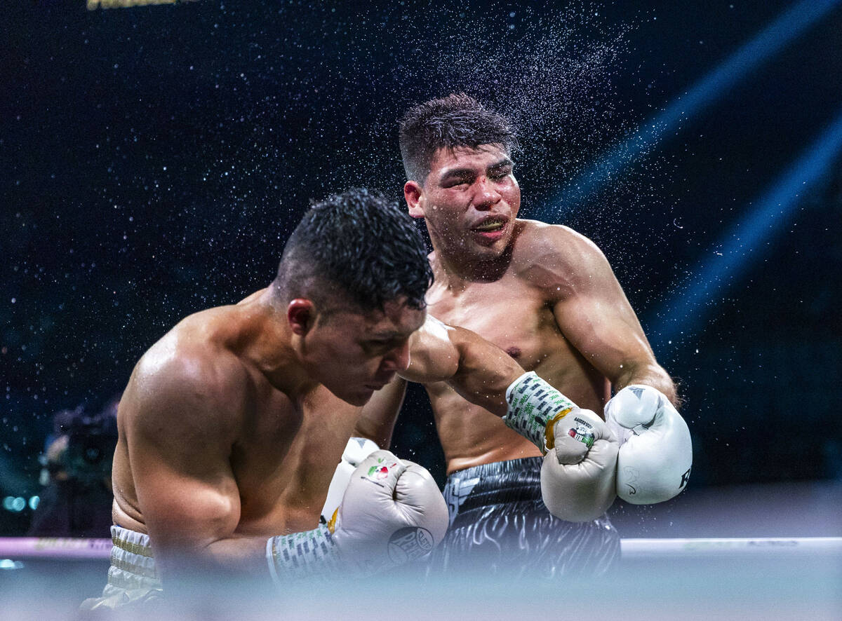 Isaac Cruz connects with a shot to the chin of Omar Salcido during their interim WBC super ligh ...