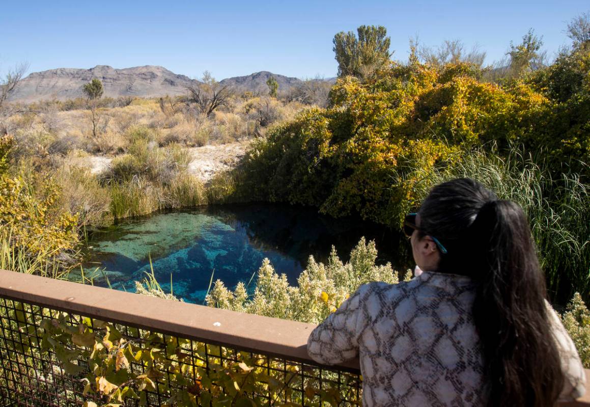 A member of the Climate and Community Institute tour group looks out at the Crystal Spring duri ...