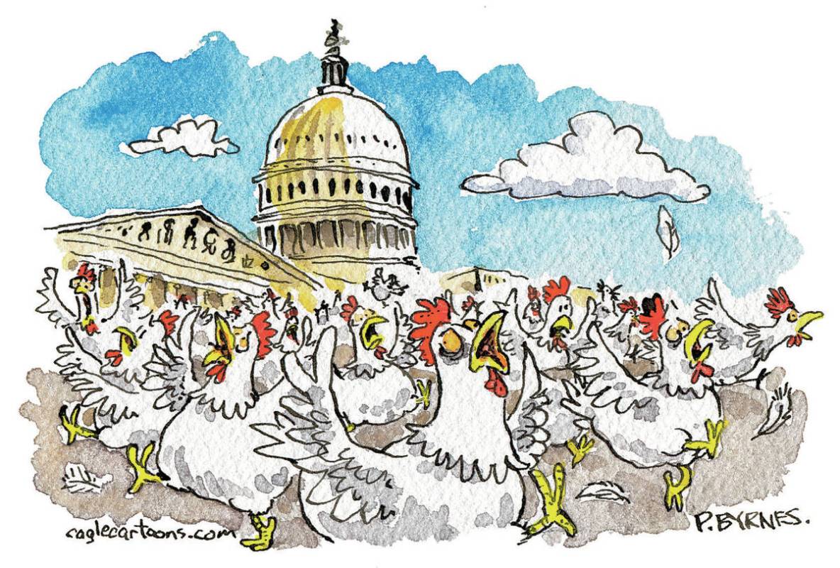 Pat Byrnes PoliticalCartoons.com