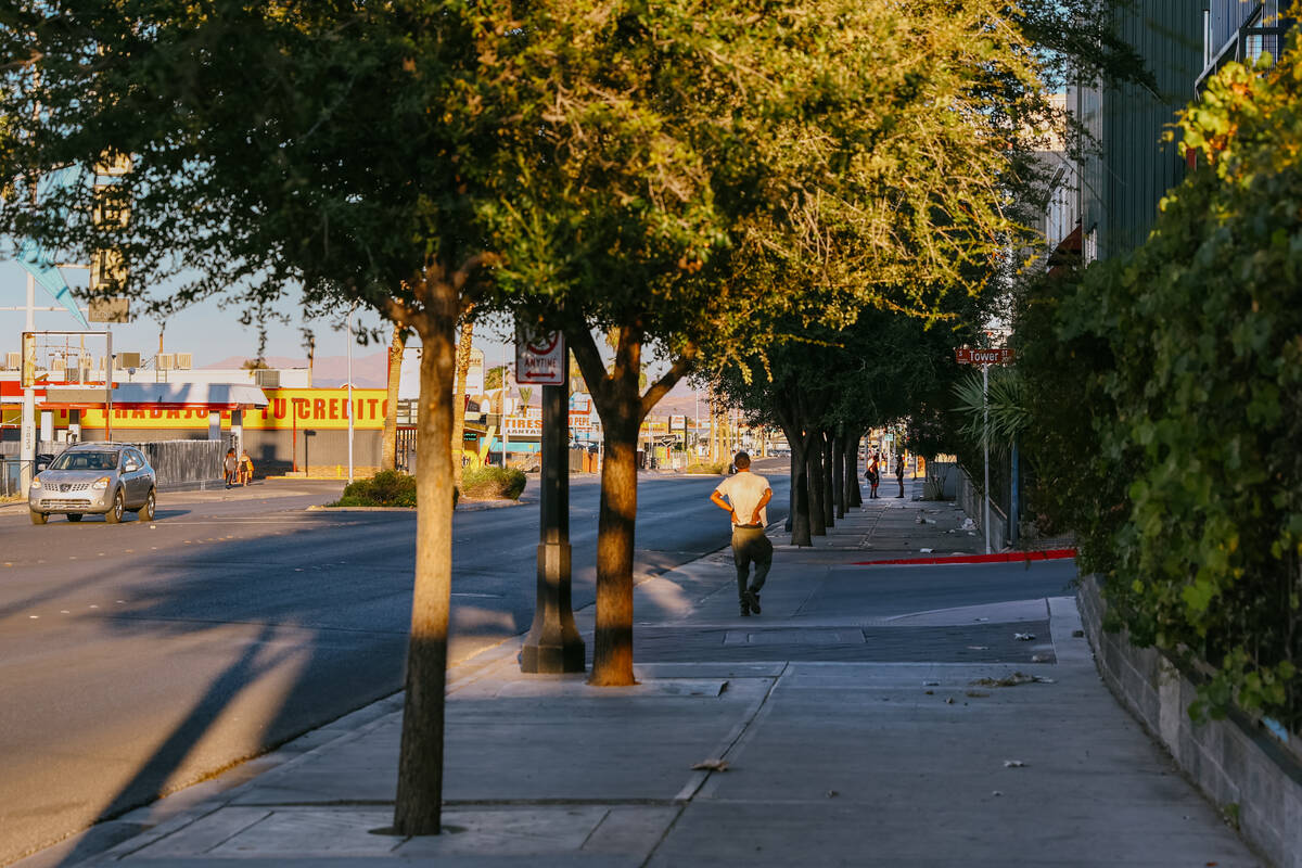 A pedestrian passes underneath a line of trees on Wednesday, July 23, 2025 along Fremont Street ...