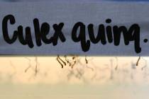 Mosquito larvae float in water in a climate controlled chamber Tuesday, July 15, 2025 at UNLV&# ...