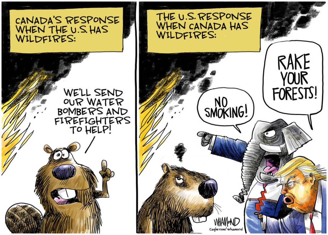 Dave Whamond PoliticalCartoons.com