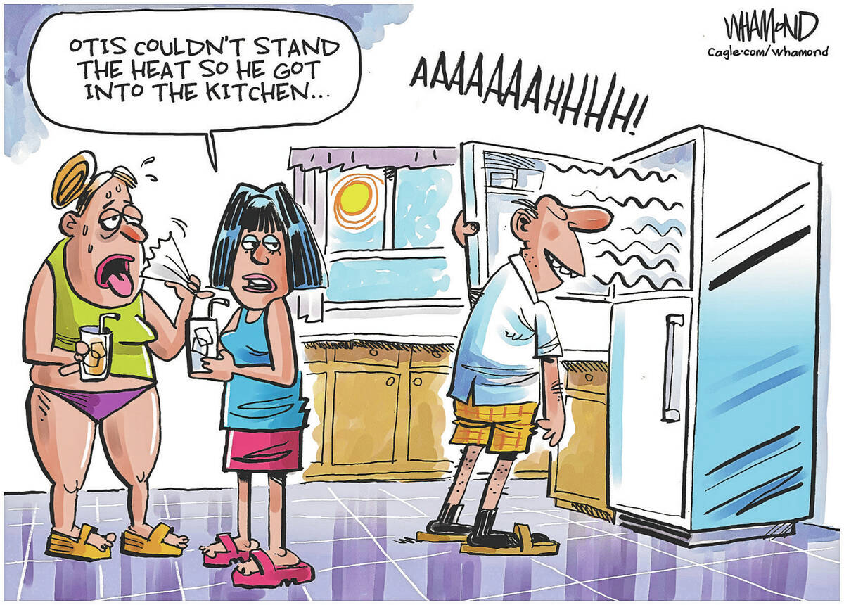 Dave Whamond PoliticalCartoons.com