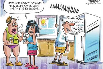 Dave Whamond PoliticalCartoons.com