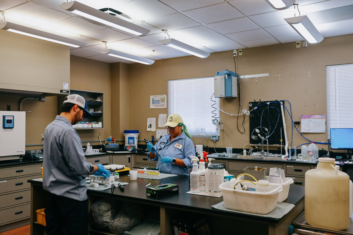 Elaine Sanchez and Isaac Greenberg pipe water samples into containers for testing at the North ...