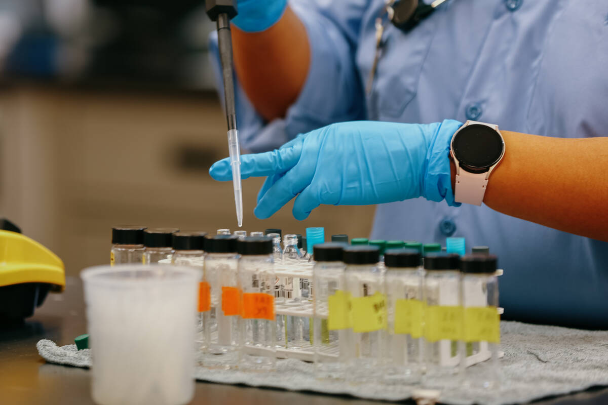 Elaine Sanchez pipes water samples into containers for testing at the North Las Vegas Water Rec ...