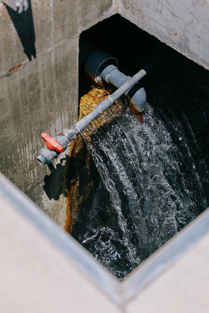 Freshly purified water at the North Las Vegas Water Reclamation Facility on Wednesday, July 30, ...