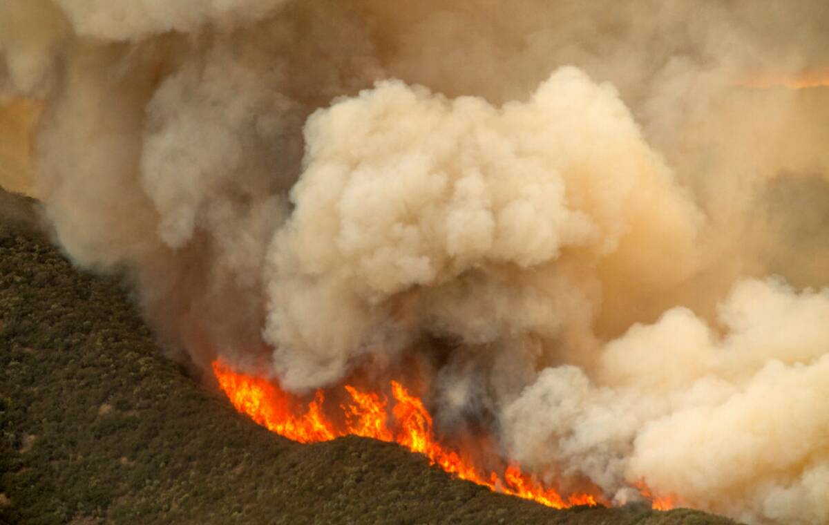 Flames from the Gifford Fire race up a hillside on Monday, Aug. 4, 2025, in Los Padres National ...