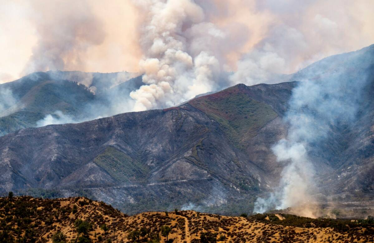 The Gifford Fire burns on Monday, Aug. 4, 2025, in Los Padres National Forest, Calif. (AP Photo ...