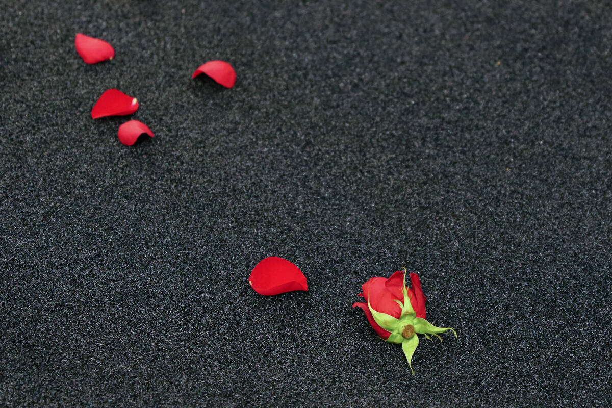 Rose petals scatter across the turf after the Knight Hawks won the Indoor Football League&#x201 ...