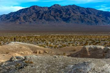 Tule Springs Fossil Beds National Monument. Established on December 19, 2014 as the 405th unit ...