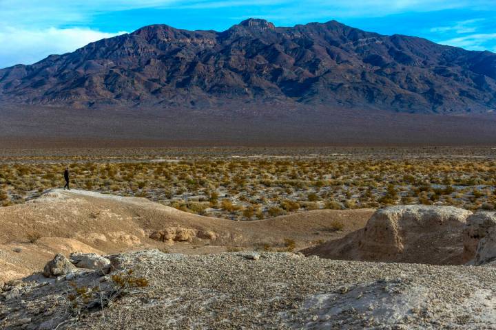 Tule Springs Fossil Beds National Monument. Established on December 19, 2014 as the 405th unit ...