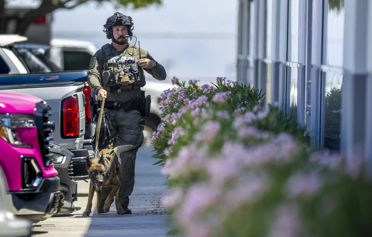 A canine officer with North Las Vegas Police prepares to enter Glass Vegas assisting SWAT and t ...