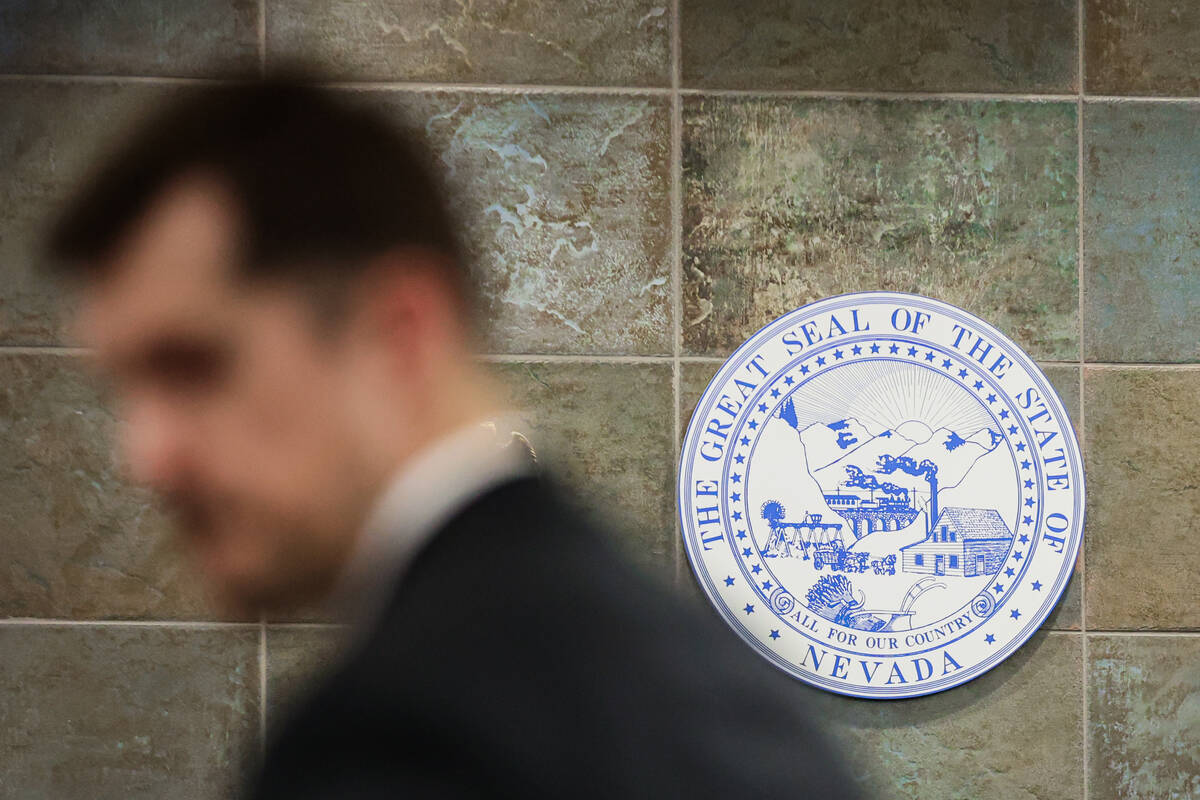 Deputy District Attorney James Puccinelli argues a case against Nathan Williams at the Regional ...
