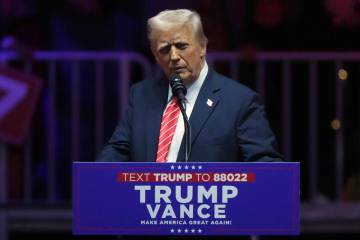 President Donald Trump. (AP Photo/Matt Rourke)