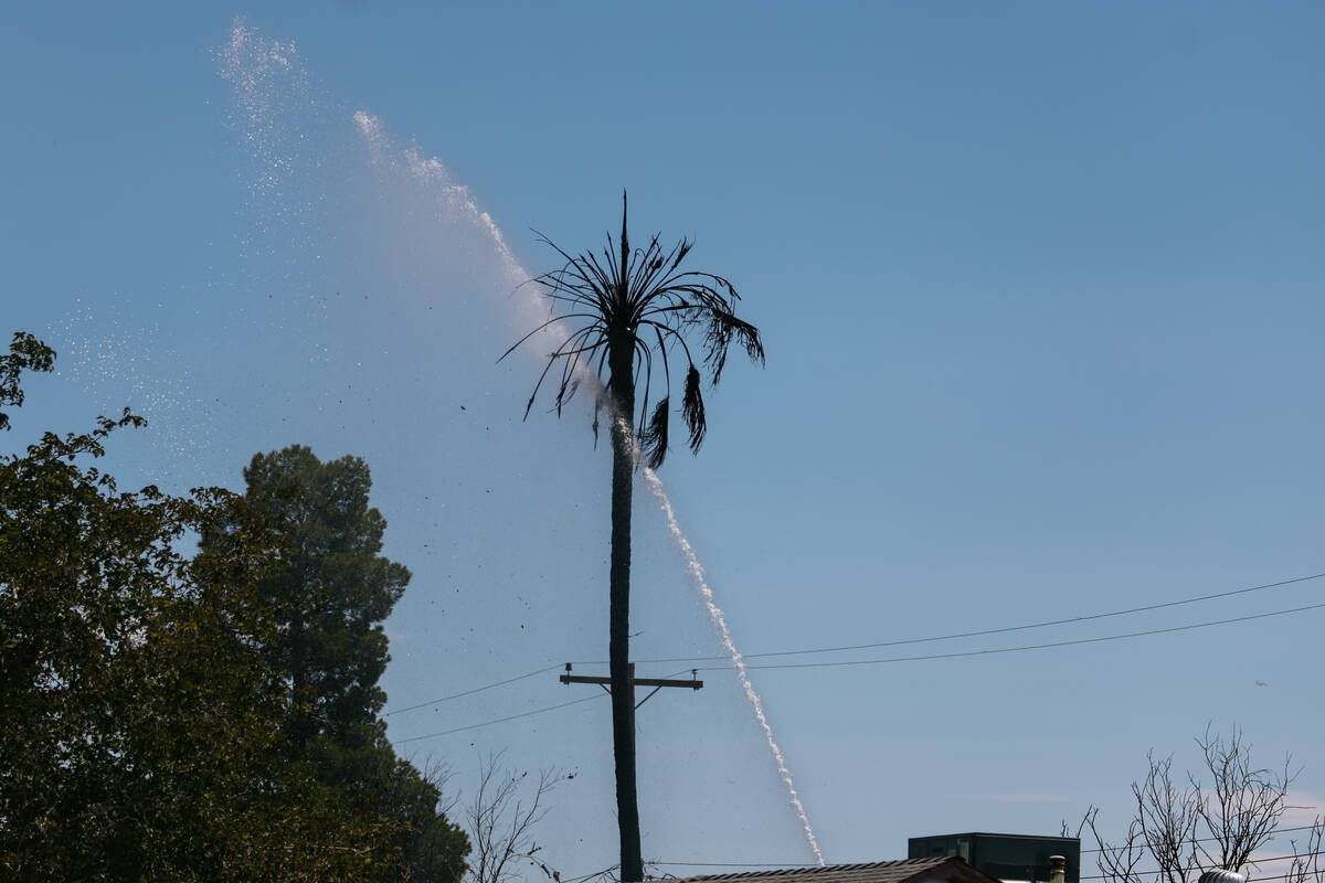 North Las Vegas and Clark County fire crews respond to a fire along the 3000 block of Judson Av ...