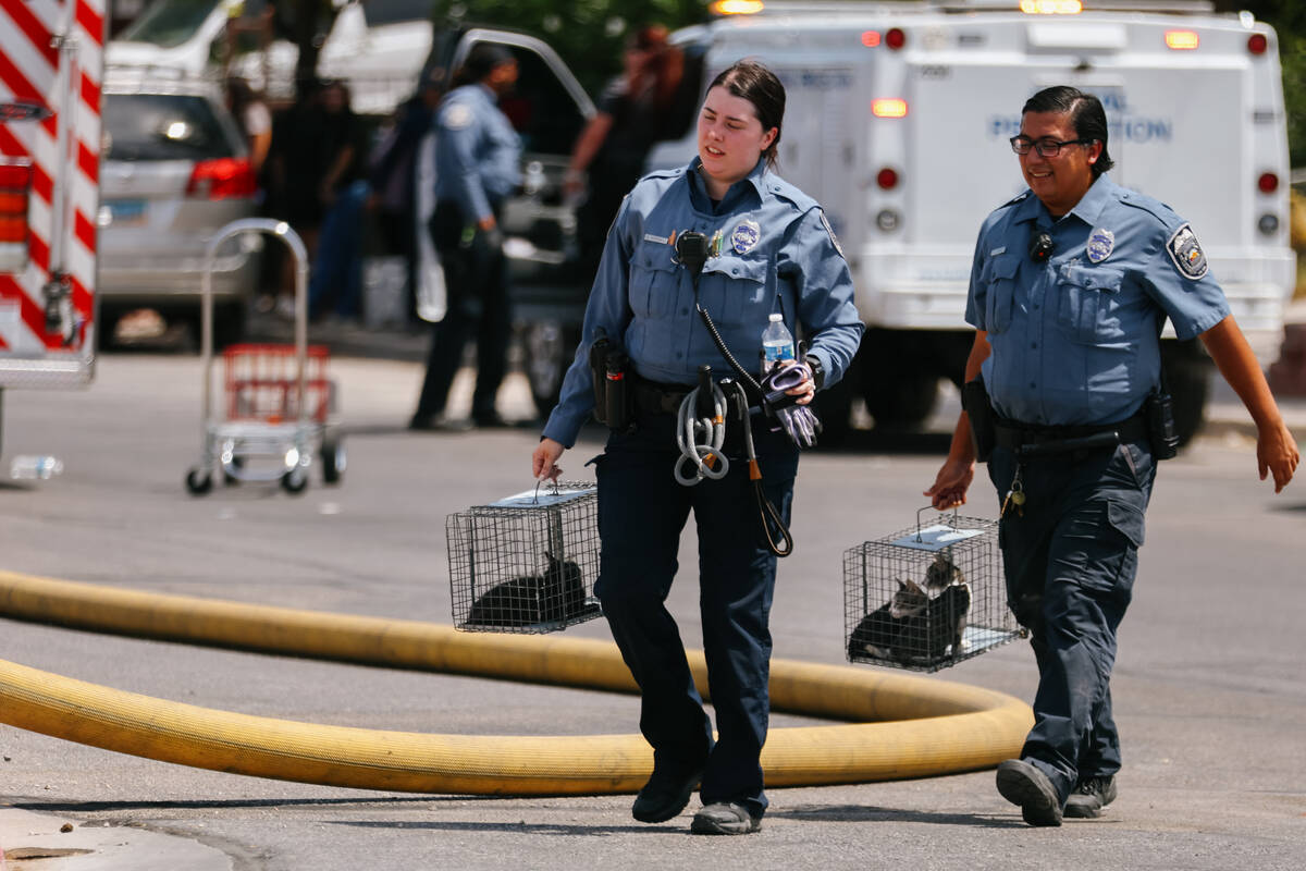 North Las Vegas and Clark County fire crews respond to a fire along the 3000 block of Judson Av ...