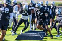 Raiders safety Jamal Adams (33) leads a drill with teammates during a drill at the Intermountai ...