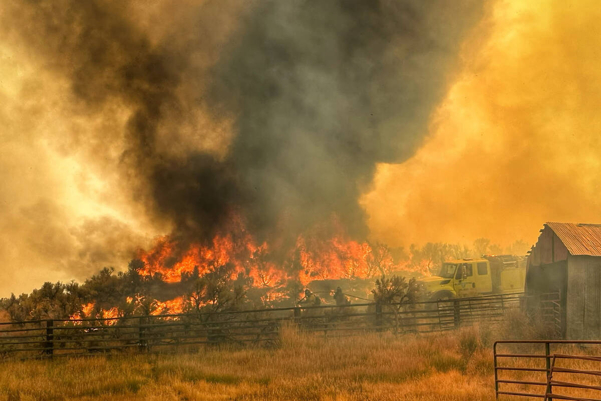 An image provided by the Bureau of Land Management shows the Cottonwood Peak Fire in Northern N ...