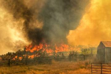 An image provided by the Bureau of Land Management shows the Cottonwood Peak Fire in Northern N ...