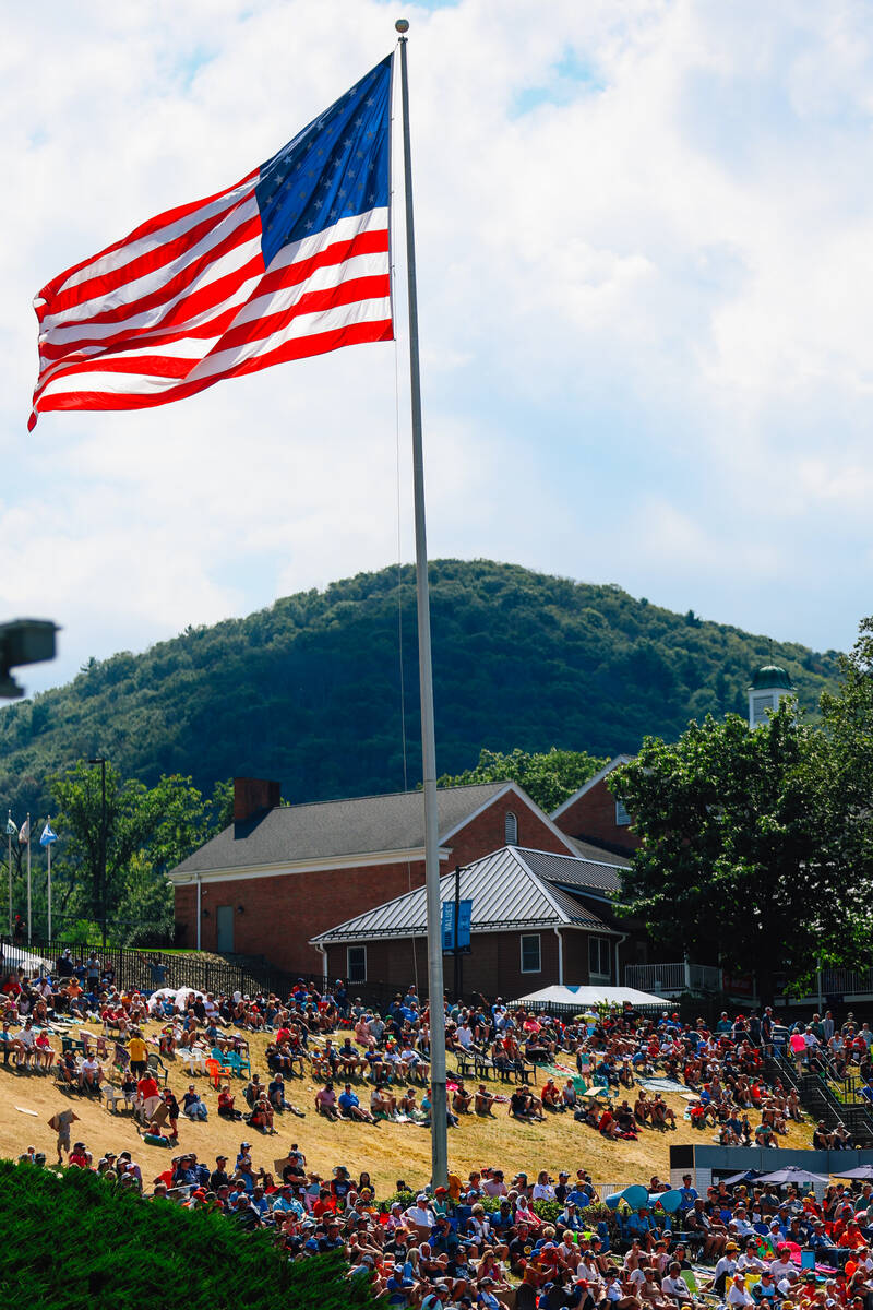 Spectators sit in the grass during a Little League World Series game at Little League Internati ...